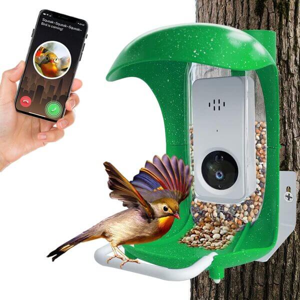 smart bird feeder 
